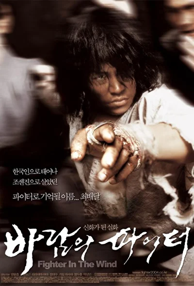 Смотреть Воин ветра (2004) онлайн в хорошем качестве, бесплатно на русском языке